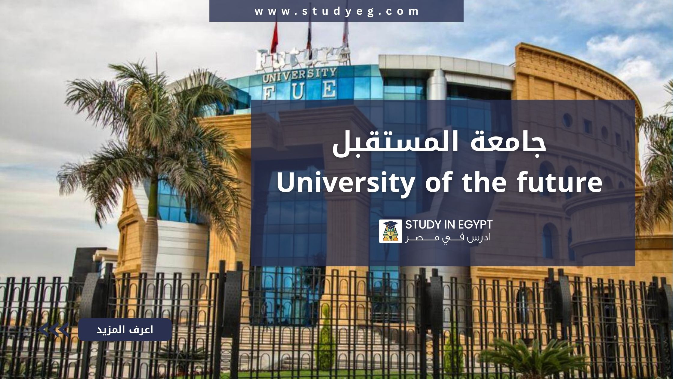 جامعة المستقبل في مصر