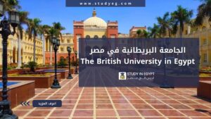 الجامعة البريطانية في مصر
