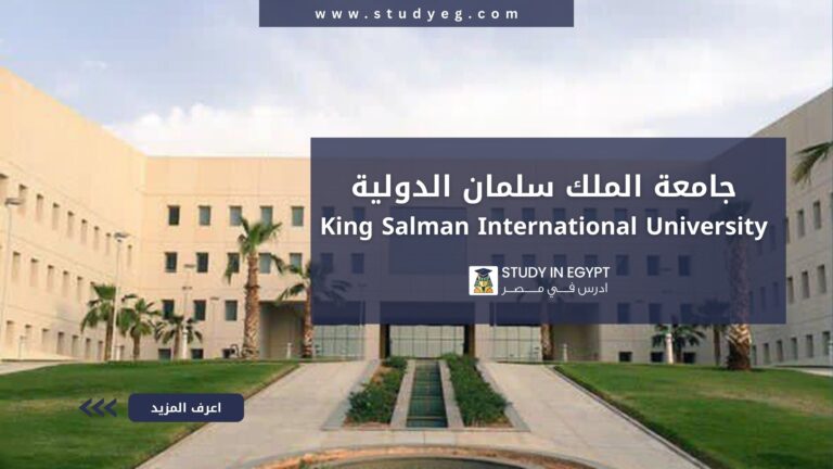 جامعة الملك سلمان الدولية