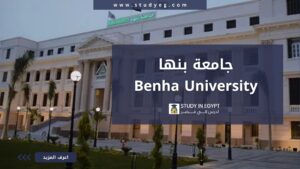جامعة بنها