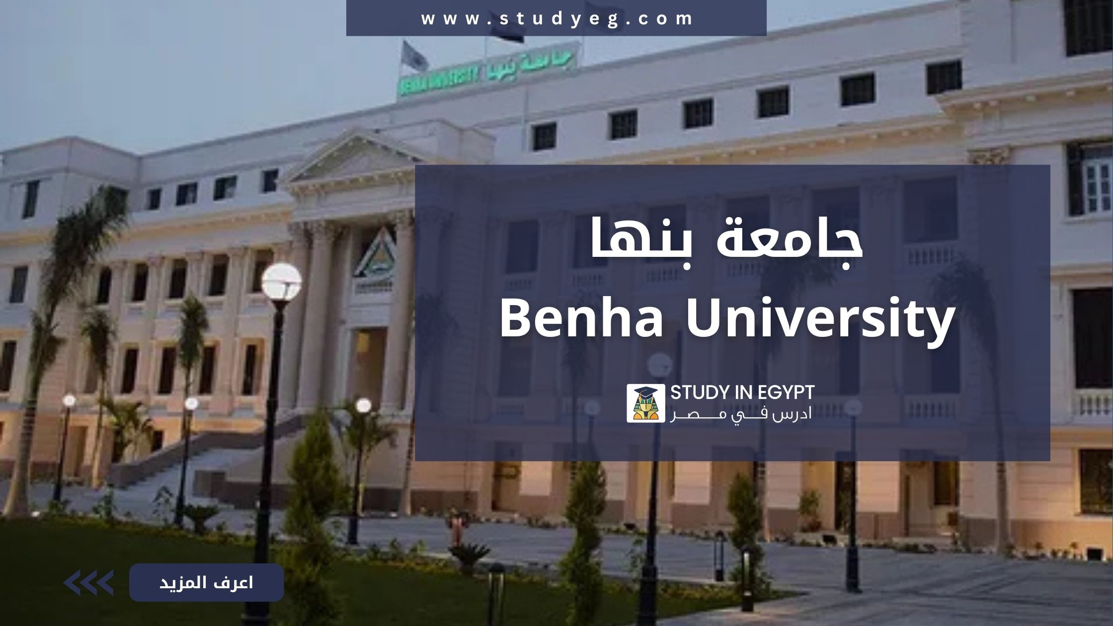 جامعة بنها
