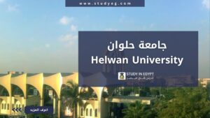 جامعة حلوان