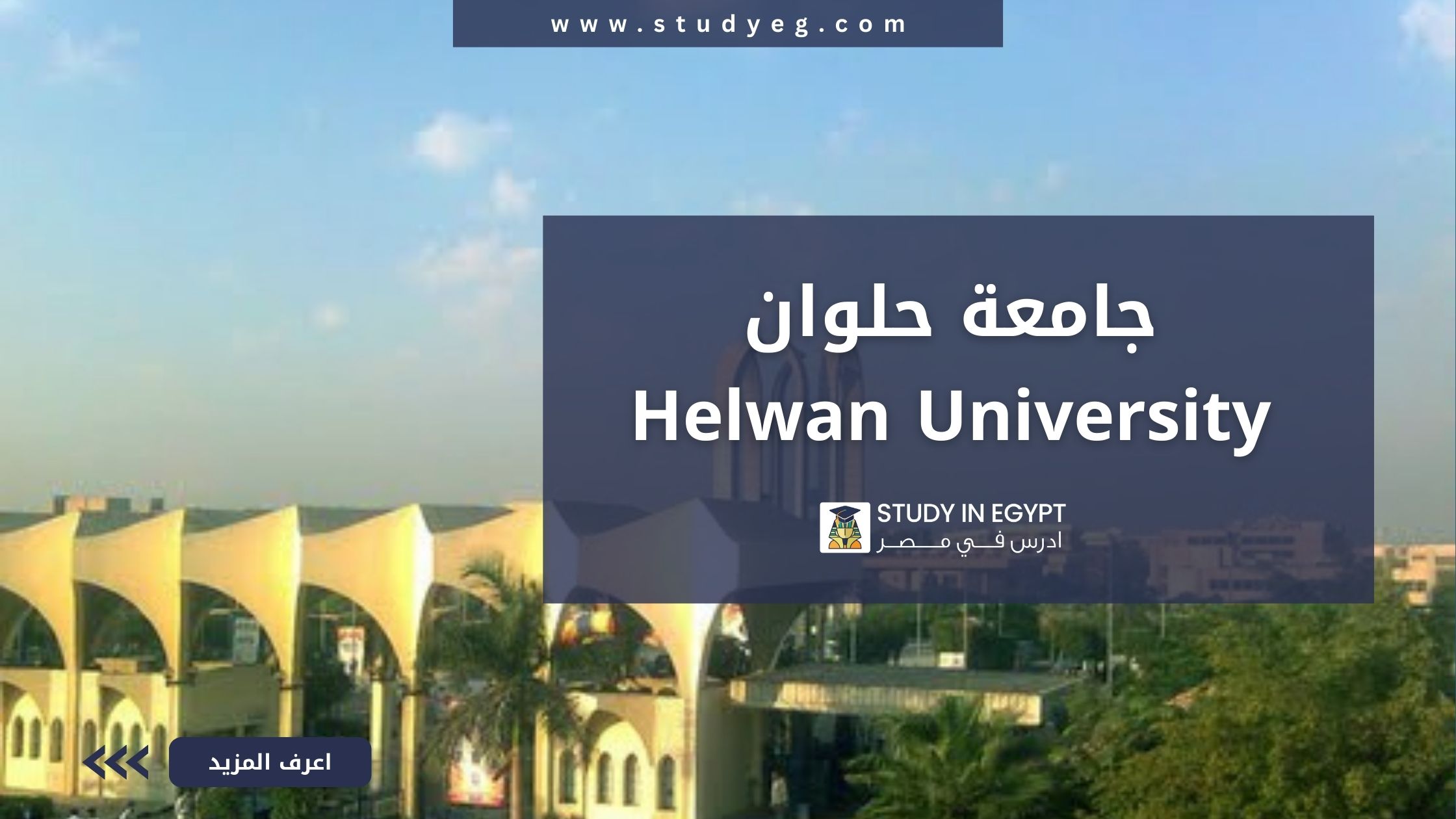 جامعة حلوان