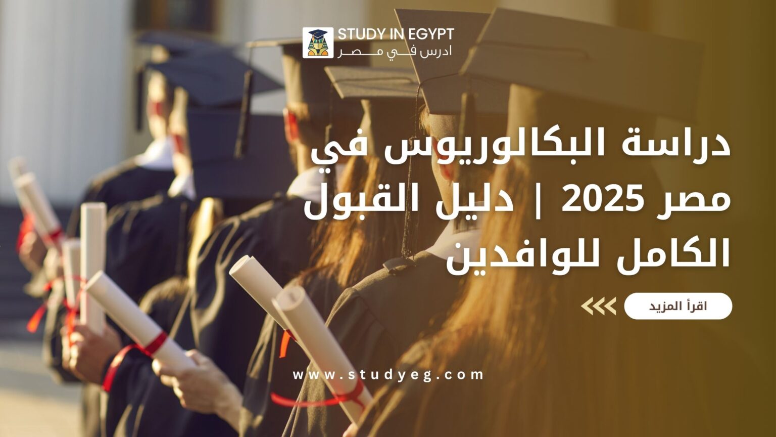 دراسة البكالوريوس في مصر