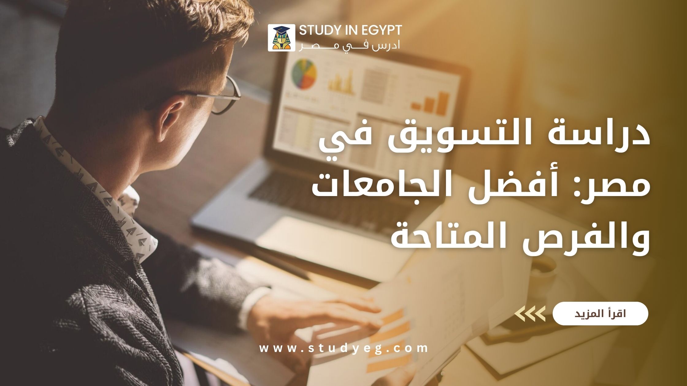 دراسة التسويق في مصر