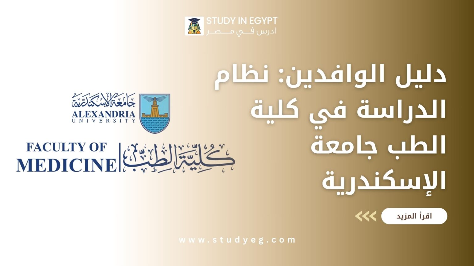 نظام الدراسة في كلية الطب جامعة الإسكندرية