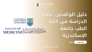 نظام الدراسة في كلية الطب جامعة الإسكندرية