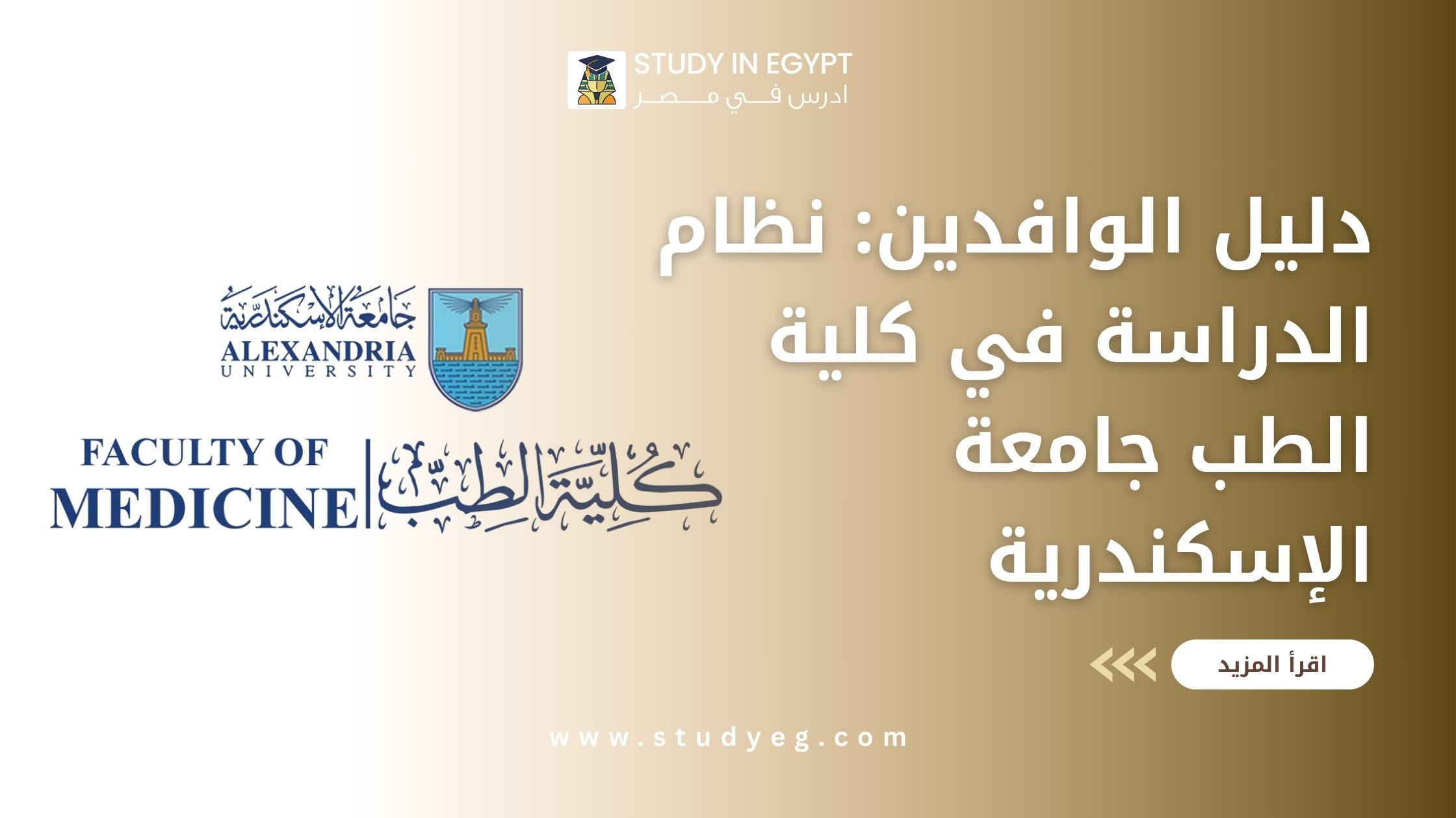 نظام الدراسة في كلية الطب جامعة الإسكندرية