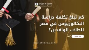 تكلفة دراسة البكالوريوس في مصر
