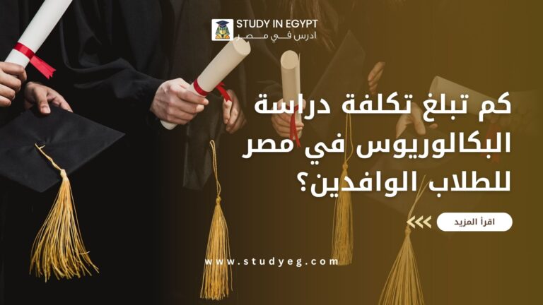 تكلفة دراسة البكالوريوس في مصر