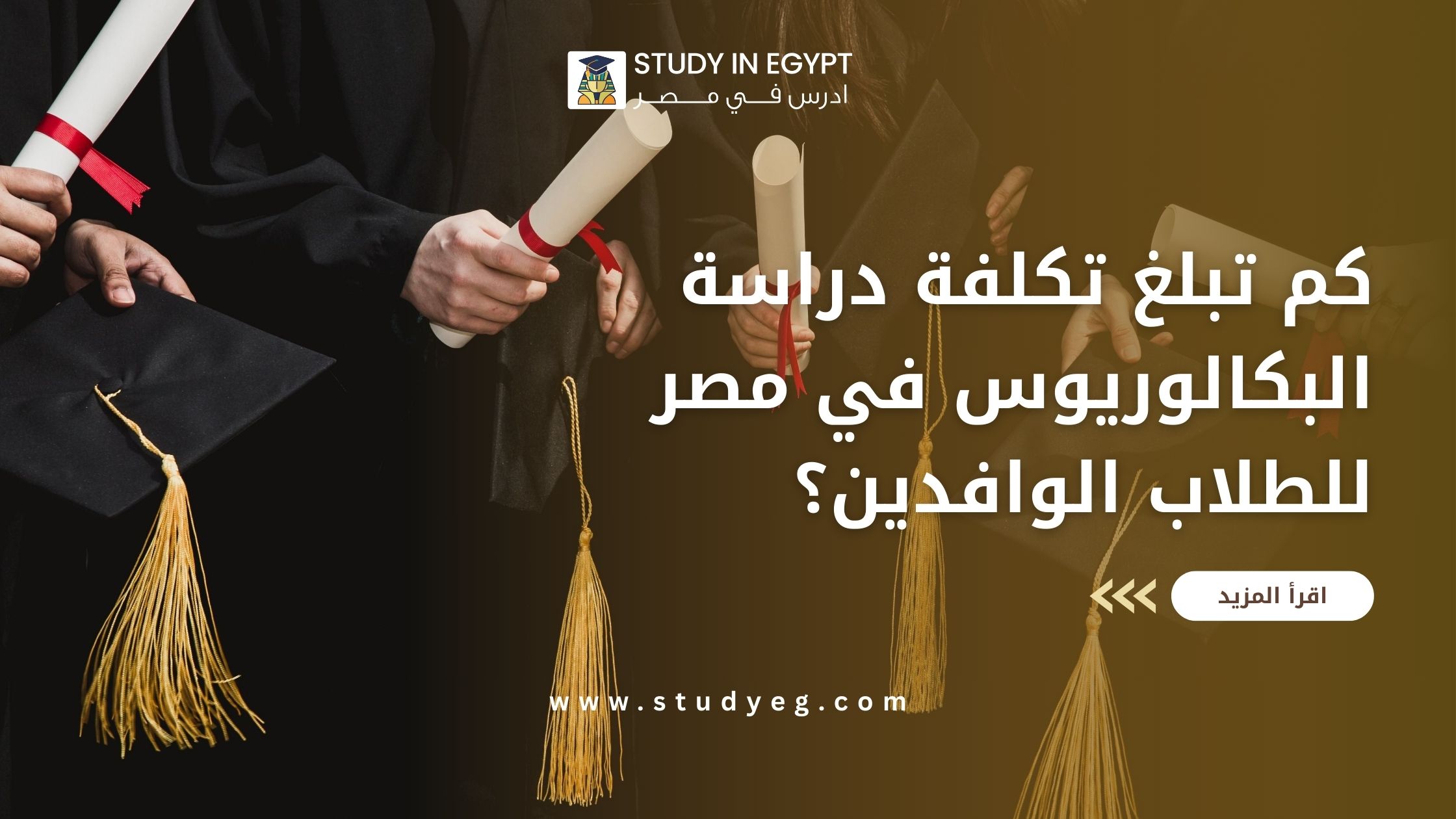 تكلفة دراسة البكالوريوس في مصر